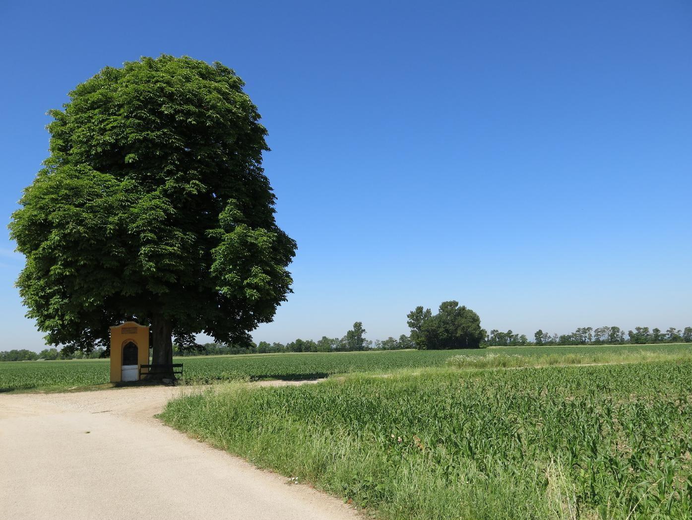 Steinernes Kreuz (Wodak-Kapelle)