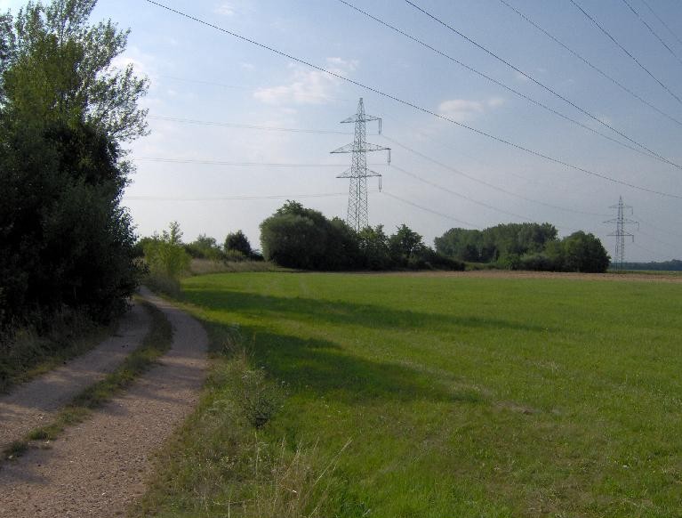 Krumper Weg in der Flur Altendorf 