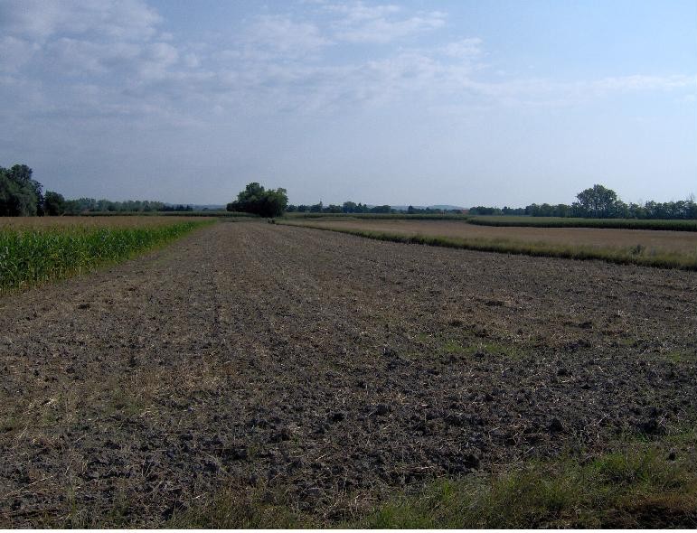 Neusift vom "Donaufeld" aus gesehen